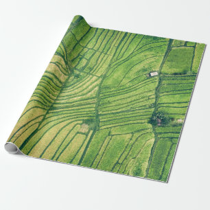 Aerial photography of green farm field wrapping paper