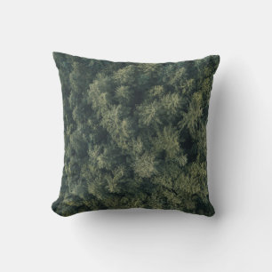Aerial photography of green trees cushion