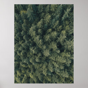 Aerial photography of green trees poster