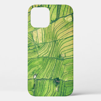 Aerial photography of rice field iPhone 12 case