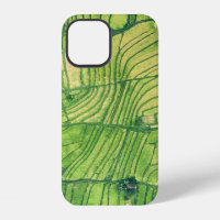 Aerial photography of rice field