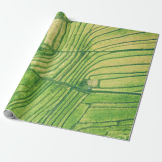 Aerial photography of rice field wrapping paper