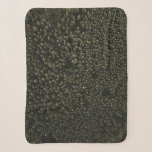 Aerial photography of tall green trees sherpa blanket
