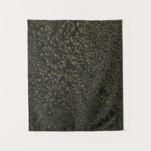 Aerial photography of tall green trees tapestry