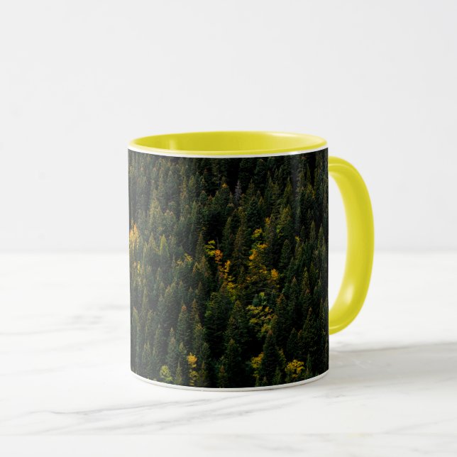 "Aerial Pine Forest Autumn Mug (Front Right)