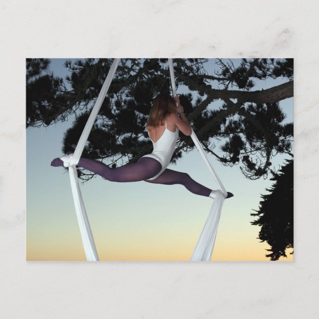 Aerial Silks Postcard (Front)