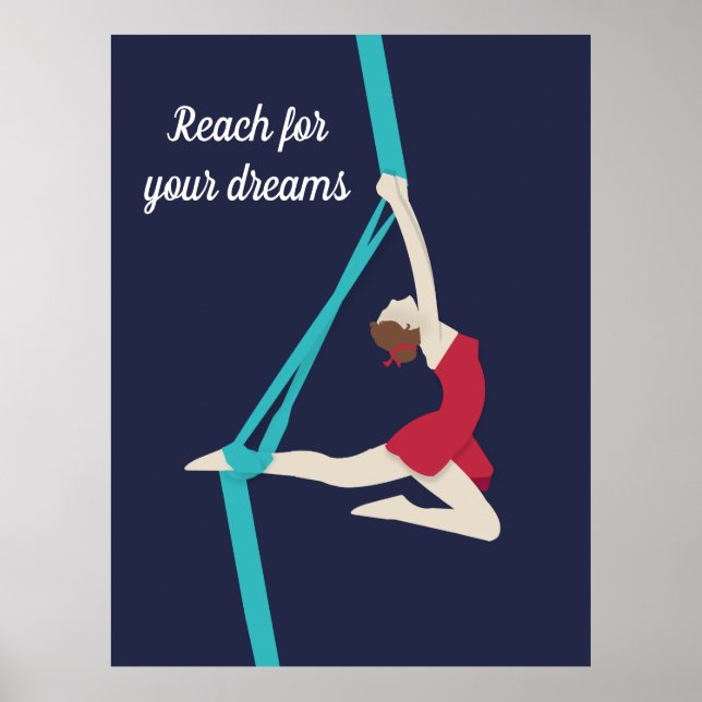Aerial Silks Poster (Front)