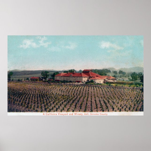 Aerial View of a California Vineyard and Winery Poster (Front)