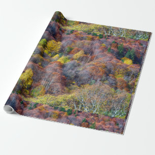  Aerial View of Autumn forest Colorful Trees     Wrapping Paper