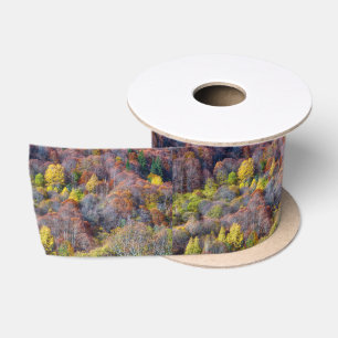 Aerial View of Autumn forest Colourful Trees Satin Ribbon