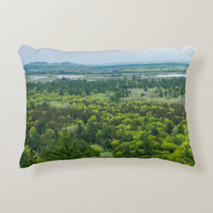 Aerial View of Black River State Forest Decorative Cushion