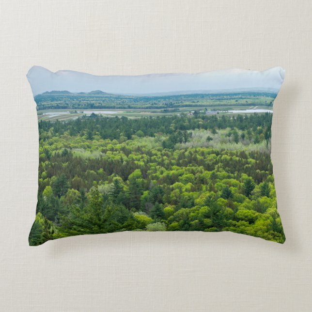 Aerial View of Black River State Forest Decorative Cushion (Front)