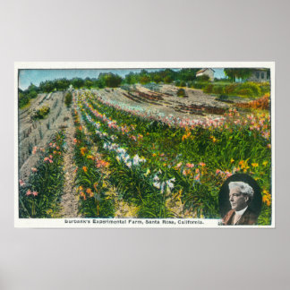 Aerial View of Burbanks Experimental Farm Poster