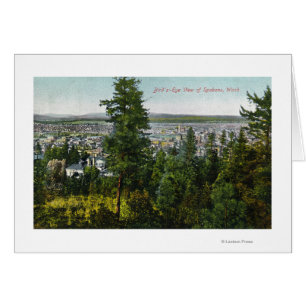 Aerial View of City through the Woods