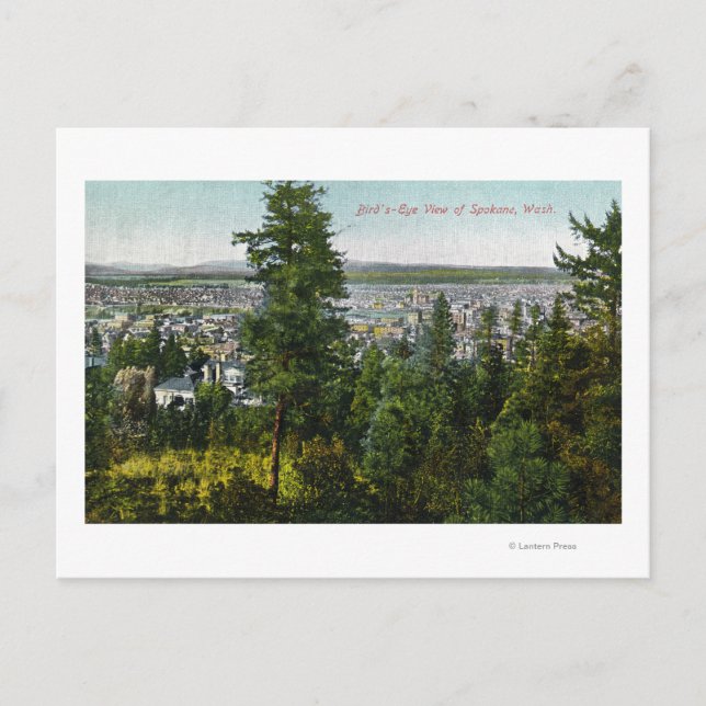 Aerial View of City through the Woods Postcard (Front)