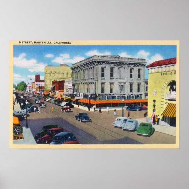 Aerial View of D Street Poster (Front)