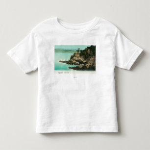 Aerial View of Eagle Dome at Point Lobos Toddler T-Shirt