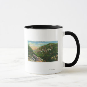 Aerial View of Fish Creek Grounds, Saranac Inn Mug