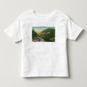 Aerial View of Fish Creek Grounds, Saranac Inn Toddler T-Shirt