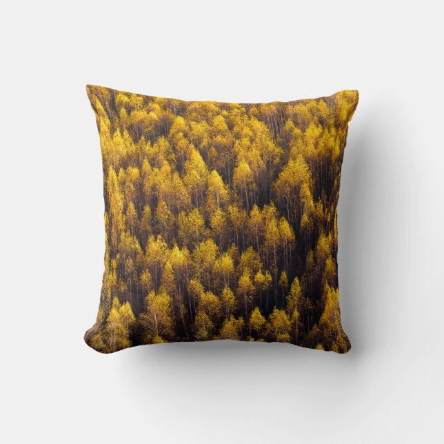 AERIAL VIEW OF FOREST CUSHION (Front)