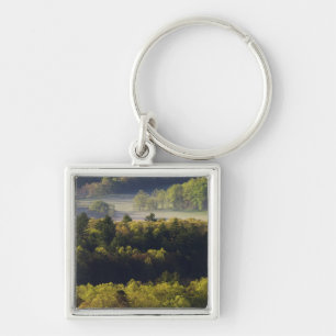 Aerial view of forest in Cades Cove, Great Smoky Key Ring
