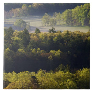 Aerial view of forest in Cades Cove, Great Smoky Tile