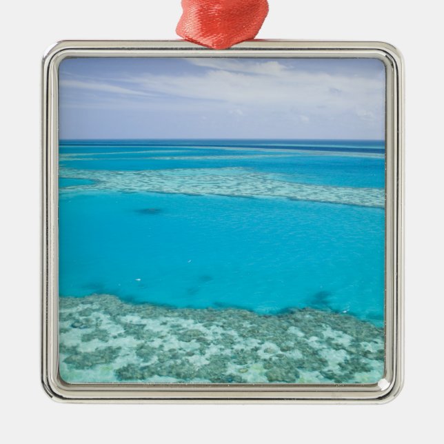 Aerial view of Great Barrier Reef by Metal Tree Decoration (Front)
