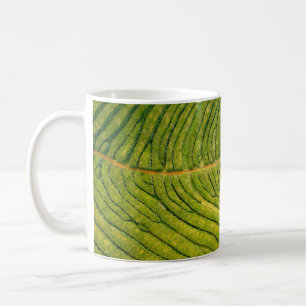Aerial view of green open field coffee mug