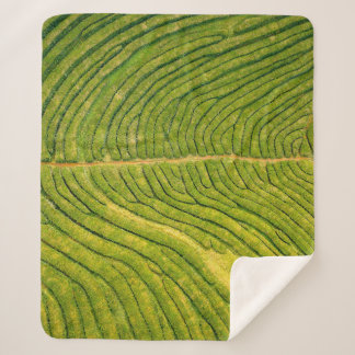 Aerial view of green open field sherpa blanket