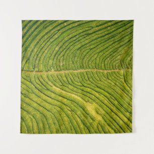 Aerial view of green open field tapestry
