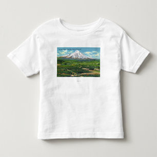 Aerial View of Hood River Valley and Mountain Toddler T-Shirt