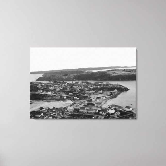 Aerial view of Kodiak, Alaska Photograph Canvas Print (Front)