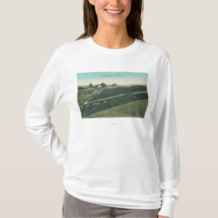 Aerial View of Prunes Drying in the Sun T-Shirt
