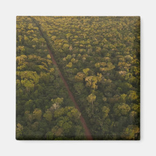 Aerial View of rainforest. Iwokrama Reserve, 2 Magnet