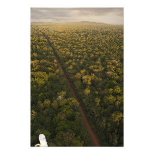 Aerial View of rainforest. Iwokrama Reserve, 2 Photo Print