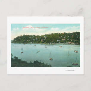 Aerial View of the BayBelvedere, CA Postcard