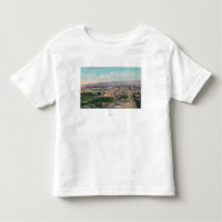 Aerial View of the CityPocatello, ID