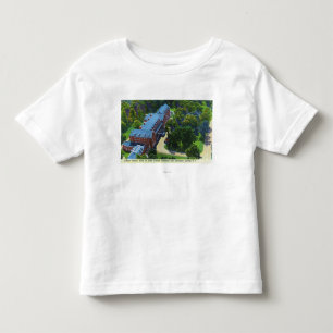 Aerial View of the Gideon Putnam Hotel, Spa Toddler T-Shirt