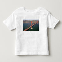 Aerial view of the Golden Gate Bridge in the 2