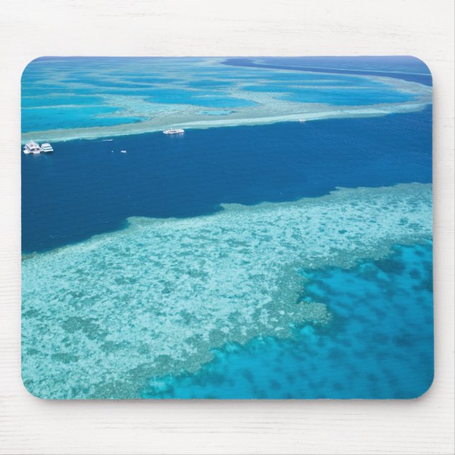 Aerial view of The Great Barrier Reef by the Mouse Mat (Front)