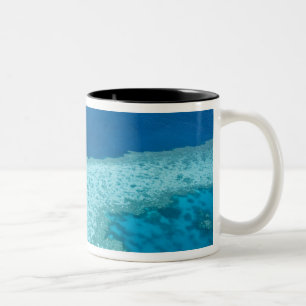 Aerial view of The Great Barrier Reef by the Two-Tone Coffee Mug