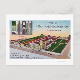 Aerial View of the Must-Hatch Incubator Co Bldg Postcard