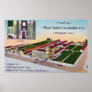 Aerial View of the Must-Hatch Incubator Co Bldg Poster