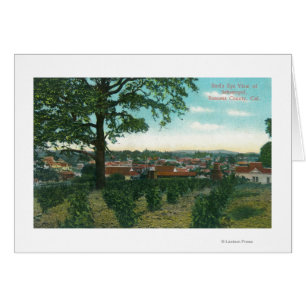 Aerial View of the TownSebastopol, CA