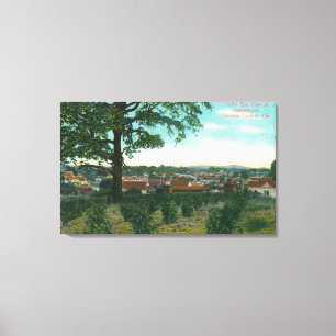 Aerial View of the TownSebastopol, CA Canvas Print
