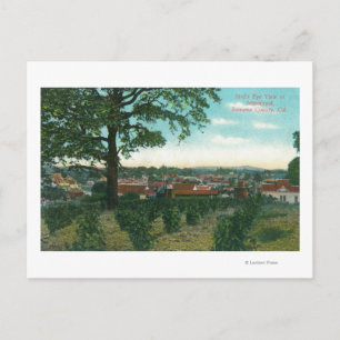Aerial View of the TownSebastopol, CA Postcard