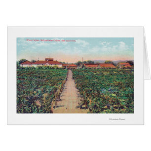 Aerial View of the Vineyards and Wine Cellars