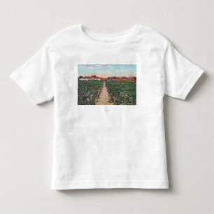 Aerial View of the Vineyards and Wine Cellars Toddler T-Shirt