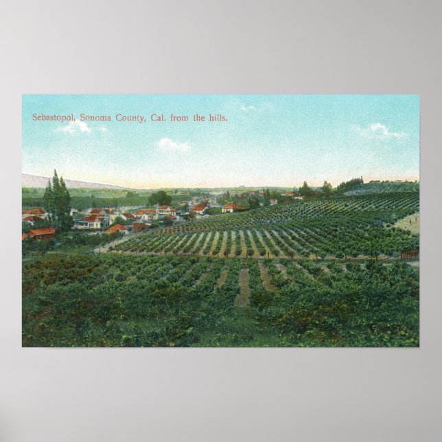 Aerial View of Town, Sonoma County from the Hill Poster (Front)