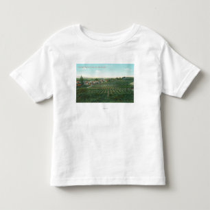 Aerial View of Town, Sonoma County from the Hill Toddler T-Shirt